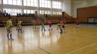 Dorostenci vs. FBS Olomouc (30.3.2013) 7