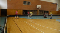 Dorostenci vs. FBS Olomouc (30.3.2013) 8